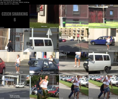 czechsharking.0652570d1d4b34acfc.jpeg