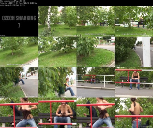 czechsharking.07f59a05f38dc5b5f6.jpeg