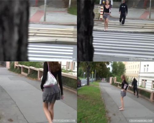 czechsharking.08.jpeg