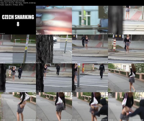 czechsharking.08d6a4a758af12dea6.jpeg