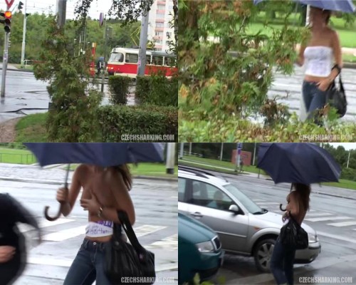 czechsharking.09.jpeg