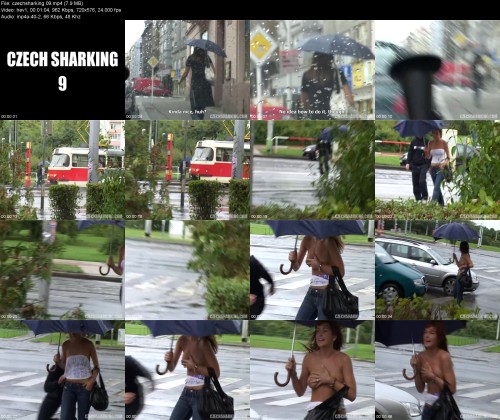 czechsharking.095d42a97482c3a0da.jpeg