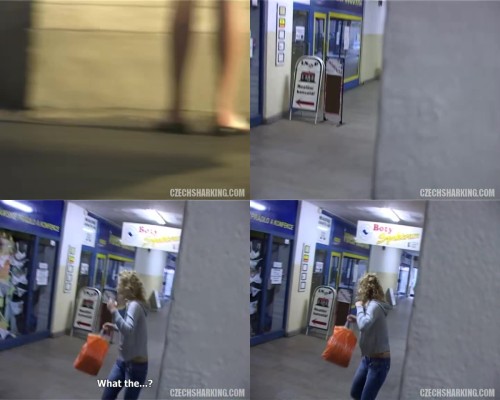 czechsharking.10.jpeg