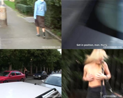 czechsharking.11.jpeg