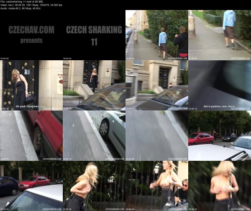 czechsharking.11b57677ccfd54da74.jpeg