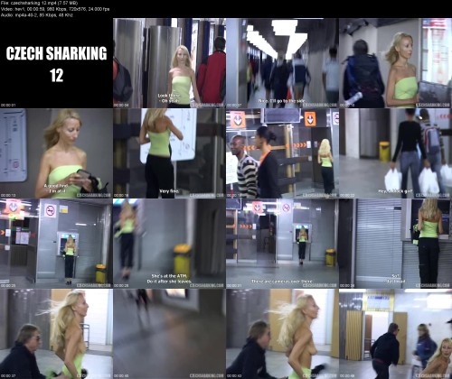 czechsharking.12bd34a28350922296.jpeg