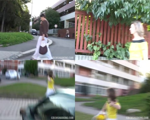 czechsharking.13.jpeg