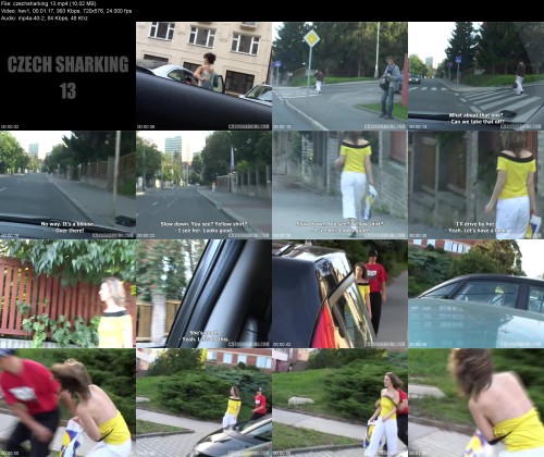 czechsharking.13d028b2bb5196e5a5.jpeg