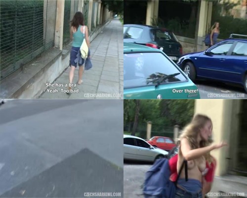 czechsharking.14.jpeg