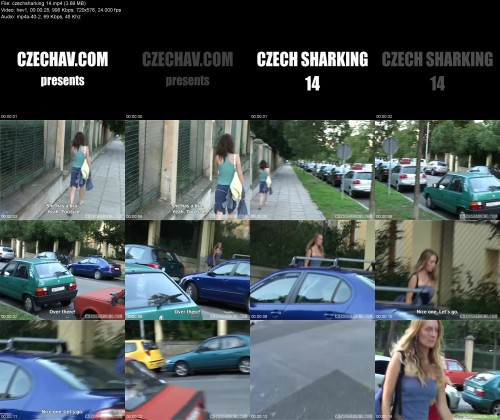 czechsharking.14d67cf0916ed52d84.jpeg