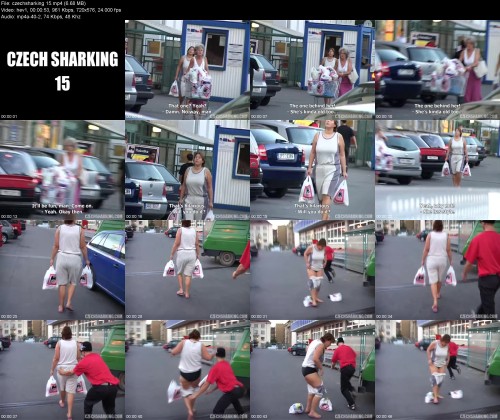 czechsharking.15dd104c7cfb086841.jpeg