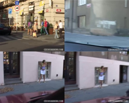 czechsharking.16.jpeg