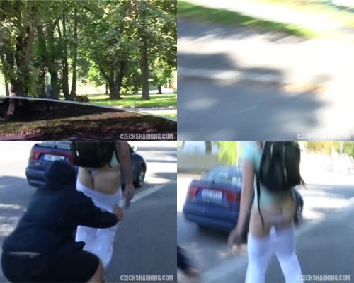 czechsharking.17.jpeg