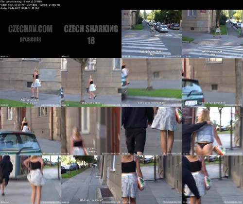 czechsharking.184229b49e74872a33.jpeg