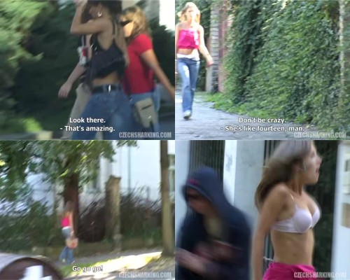 czechsharking.19.jpeg