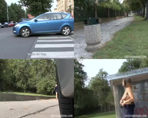 czechsharking.21.jpeg