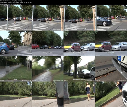 czechsharking.214ff65098d35a4ac8.jpeg