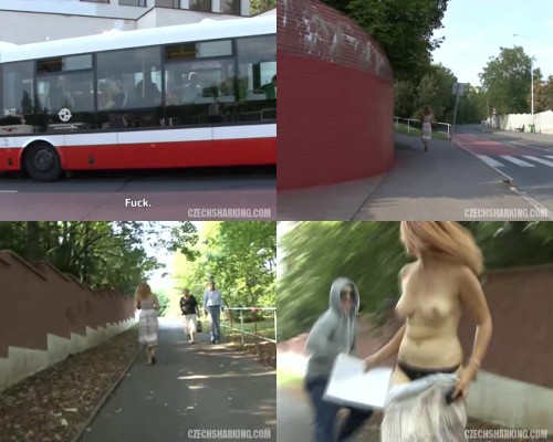czechsharking.22.jpeg