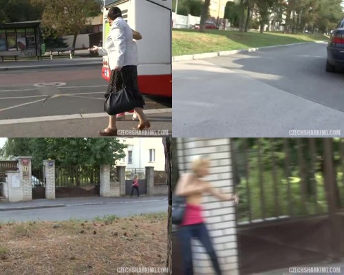 czechsharking.23.jpeg