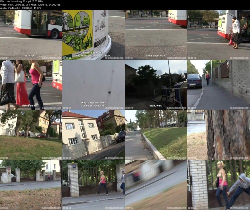 czechsharking.233b977786819bbf0d.jpeg