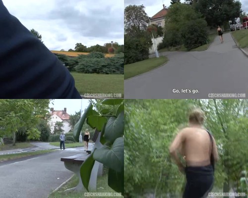 czechsharking.24.jpeg