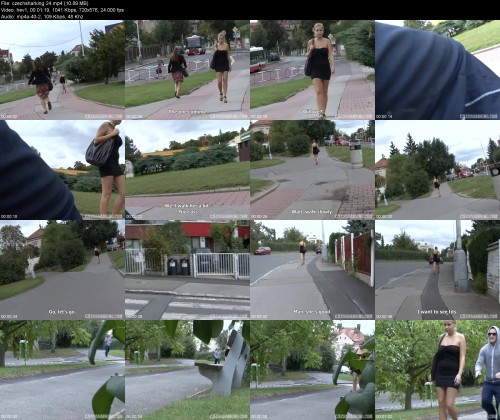 czechsharking.24982a5b7fac79aaca.jpeg