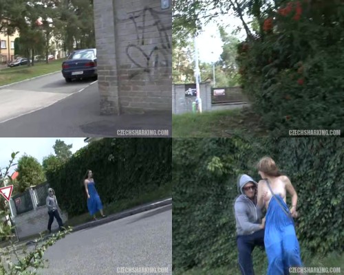 czechsharking.25.jpeg
