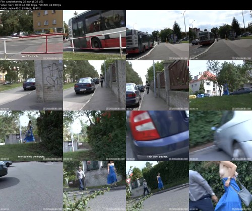 czechsharking.258199fbe41f88d302.jpeg