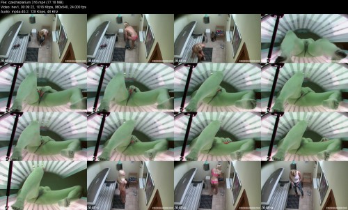 czechsolarium.3161187e2b036ace4b5.jpeg