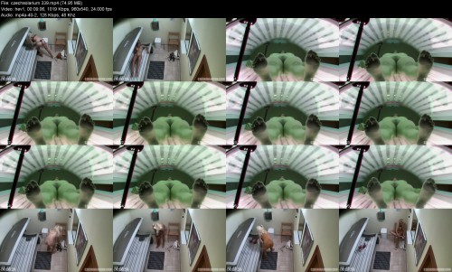 czechsolarium.339cc210a303045a932.jpeg