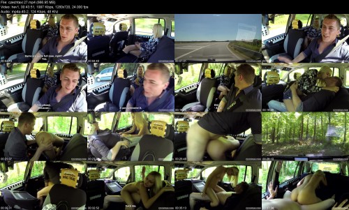 czechtaxi.277f41829ac1bc7c78.jpeg