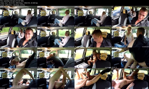czechtaxi.29225659f07c45a429.jpeg