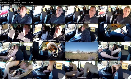 czechtaxi.3241b12deb32844446.jpeg