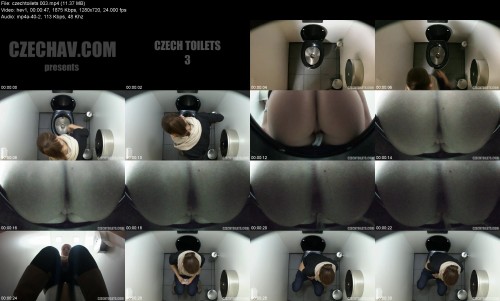 czechtoilets.00380fac0d98cceced6.jpeg