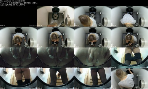 czechtoilets.00544db35505293e33f.jpeg