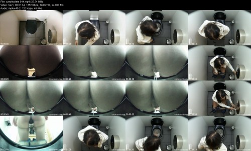 czechtoilets.014504973eaa00117b8.jpeg