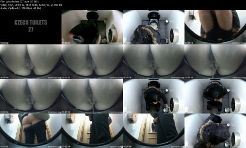 czechtoilets.0273bc7864774227ac2.jpeg
