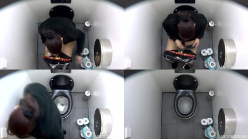 czechtoilets.059.jpeg