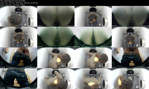 czechtoilets.072e88a2a8af35176b6.jpeg