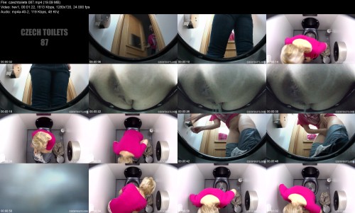 czechtoilets.08743214e31bb2bcd00.jpeg