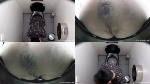 czechtoilets.120.jpeg
