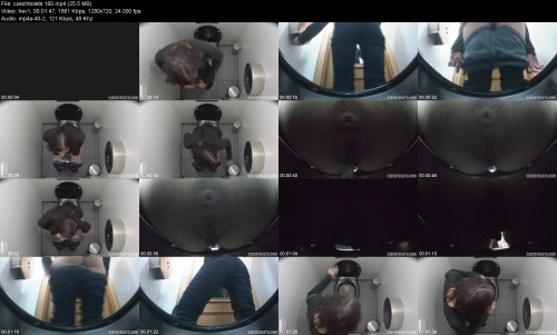 czechtoilets.160717c4ab1a1ecd160.jpeg