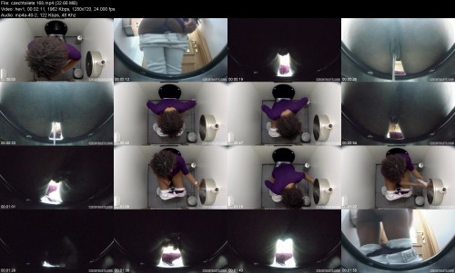 czechtoilets.168d94adf123e89c0e1.jpeg