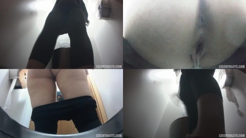 czechtoilets.181.jpeg