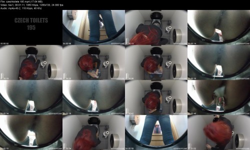 czechtoilets.195a68e14947ea05049.jpeg