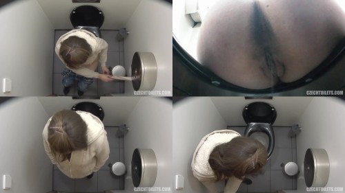 czechtoilets.201.jpeg