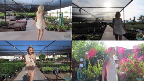 Alex_-_Alex_Goes_Plant_Shopping.jpeg