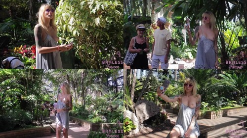 Alex_-_In_the_Gardens.jpeg