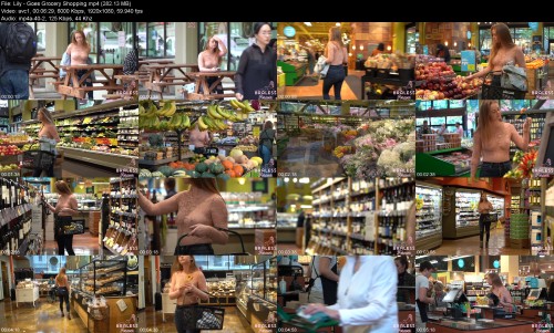 Lily_-_Goes_Grocery_Shoppingcd71e4bd4a4770b0.jpeg