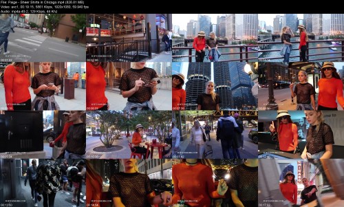 Paige_-_Sheer_Shirts_in_Chicago08eb664be6810d88.jpeg